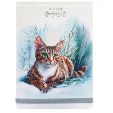 Скетчбук А5 80л КОШАЧИЙ ПОРТРЕТ 80-9985 7БЦ переплет сверху мат. ламин. лак резинка