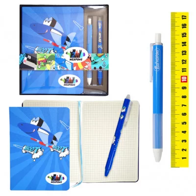 Набор подарочный Самолет книжка записная в клетку+две ручки шарик. CF4004-4 321181