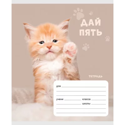 Тетрадь А5 24л "Дай пять!" КанцЭксмо ТЛЛ248971