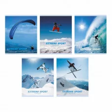 Тетрадь А5 96л "В мире спорта "  КанцЭксмо ТК967968