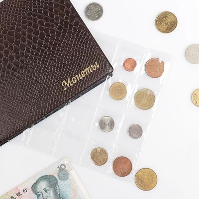 Лист для монет горизонтальный 250*200 мм на 24 ячейки 48х52 1945034