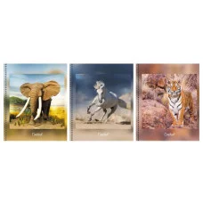 Тетрадь А5 80л "В дикой природе" КанцЭксмо ТСЛ807697