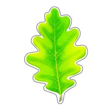 М-10870 Мини открытка Листочки Дуб зеленый