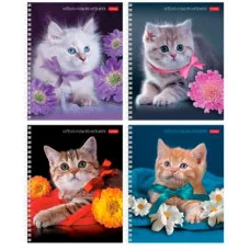 Тетрадь 80л А5ф клетка 65г/кв.м на гребне серия -На мягких лапках- ТК8394