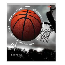 Тетрадь КЛЕТКА 48л.СПОРТИВНЫЕ МЯЧИ - 1 (48-3794) цвет. мелов. обл. 48-3794