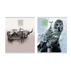 Тетрадь А5 80л "Стихия" КанцЭксмо ТК808323