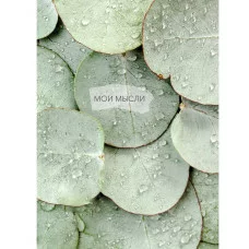 Книга для записей А6 80л "Мои мысли. Роса" КанцЭксмо КЗ6804081