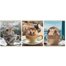 Тетрадь А5 48л "Чаепитие с милашками " КанцЭксмо ТК489072