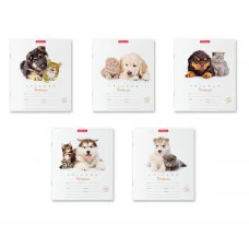 Тетрадь 12л линейка мелов "Дружба" ERICH KRAUSE 42546 021869