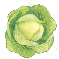 Плакат КАПУСТА 29.477.00