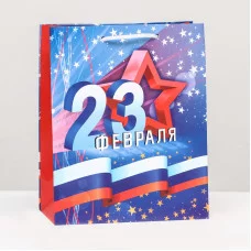 Пакет подарочный Звезда 23 февраля 18 х 22,3 10 см 9459359