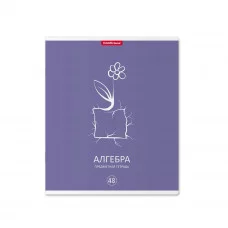 Тетрадь общая ученическая с пластиковой обложкой на скобе ErichKrause Simple Link, АЛГЕБРА, 48 листов, клетка 59494