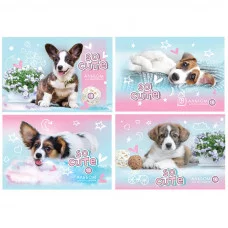 Альбом для рисования 16л А4 на скрепке BG Мечтаю о собаке 326456