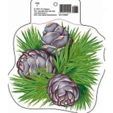 М-10661 Мини открытка Кедровые шишки (190х160 мм) / (о) Детский сад Сфера