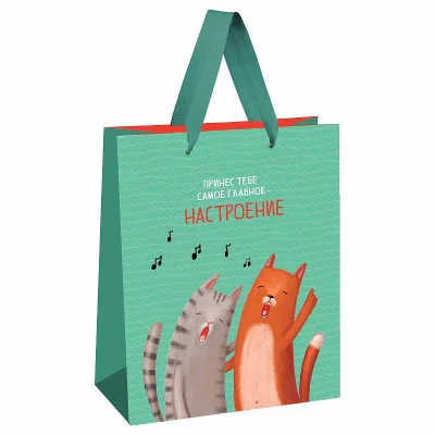 Пакет подарочный 1шт 11*14*6,5см MESHU "Настроение", выборочный лак, матовая ламинация 354588