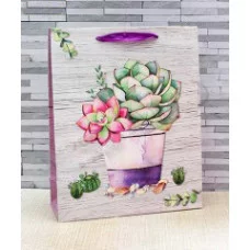 Пакет подарочный Dream Cards с мат лам 26.4х32.7х13.6 Кактус розовым цветком 210 гр ПКП-1405ПКП-1405