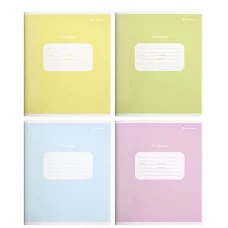 Тетрадь 18 л. кл. Schoolformat ОДНОТОННЫЕ ПАСТЕЛЬНЫЕ ОТТЕНКИ мел. карт. выб. УФ-лак 238568