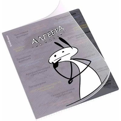 Тетрадь общая ученическая с пластиковой обложкой на скобе ErichKrause Чубрик, Алгебра, 48 листов, клетка 59470