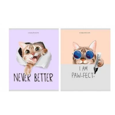 Тетрадь КЛЕТКА 48л. ИГРИВЫЕ КОТИКИ-1 (48-3966) (обл. - офсет, второй блок) 48-3966