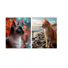 Тетрадь КЛЕТКА 96л. КОТЫ И ПРИРОДА (96-9531) обл- мелов.картон, второй блок 96-9531