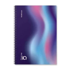 Тетрадь общая ученическая на спирали ErichKrause IQ FineLine В5 80 листов клетка глянцевая ламинация блок 80г/м2 ассорти 62113