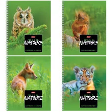 Тетрадь 48л., А5, клетка на гребне Hatber "Wild Nature" Хатбер 245529