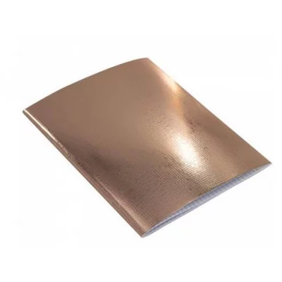 Тетрадь 48л. А5 клетка Alingar "Gold metallic" скрепка 1шт AL12403