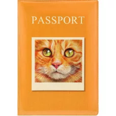 Обложка на паспорт Рыжий котик ПВХ ОП-1295
