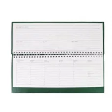 ПЛАНИНГ 56л. недатир.ЗЕЛЁНЫЙ (56-1493) геребень, бумвинил 56-1493