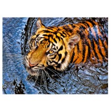 Холст с красками 40х50 см по номерам. Тигр в воде (10313140/030220/0006204,Китай)