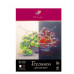 Бумага для пастели А3 10л 02цв 160г/м "Люкс" слоновая кость/темно-коричневый ЛУЧ 33С 2160-08 181612 Бумага для пастели А3 10л 02цв 160г/м "Люкс" слоновая кость/темно-коричневый ЛУЧ 33С 2160-08 181612