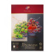Бумага для пастели А4 10л 02цв 160г/м "Люкс" слоновая кость/темно-коричневый ЛУЧ 33С 2161-08 181611 Бумага для пастели А4 10л 02цв 160г/м "Люкс" слоновая кость/темно-коричневый ЛУЧ 33С 2161-08 181611