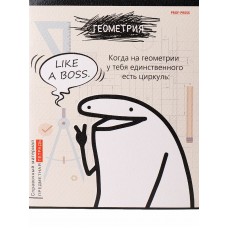 TM Prof-Press Тетрадь КЛЕТКА 48л. ГЕОМЕТРИЯ «Школьные мемасики» (48-9650) стандарт, тиснение холст ПП-00195948