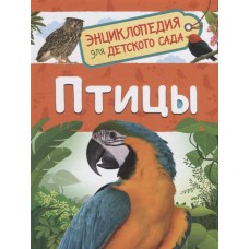 Энциклопедия для детского сада Гальцева С. Н. Птицы (Энциклопедия для детского сада) Росмэн 9785353093404