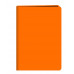Блокнот для записей А6+ 48л "NEON. Оранжевый" КанцЭксмо БНККЛ6484324
