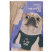 Тетрадь для записей иностранных словА5 64л "I\'m a big dog" КанцЭксмо БИСЛ564102