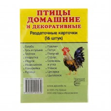 Карточки обучающие "Птицы домашние и декоративные" 16 шт. 6,3 х 8,7 см. 599221 599221