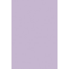 Цв. тонированная бумага А4, 10л. ПЭТ сиреневый