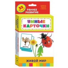 Котятова Н. И. Живой мир (Разв. карточки 0+) Росмэн Переплет 107x157 мм