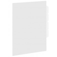 Папка-уголок 3 отделения, жесткая, А4, BRAUBERG "SPECIAL", прозрачная, 0,15 мм, 273062