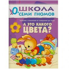 Школа Семи Гномов (Мозаика-Синтез) Дарья Денисова 3 ШСГ Первый год обучения. А это какого цвета?