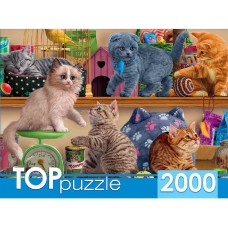 TOPpuzzle. ПАЗЛЫ 2000 элементов. ХТП2000-1596 Смешные котята в зоомагазине