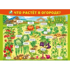 Плакат "Что растёт в огороде", изд.: Горчаков 460326294100370968