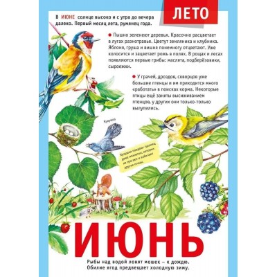 Мини-плакат "12 месяцев: Июнь", изд.: Горчаков 460326240600771499