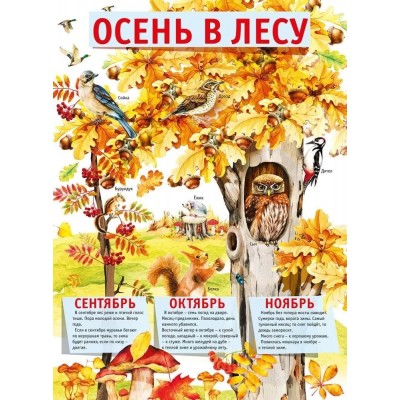 Плакат "Осень в лесу", изд.: Горчаков 460326294100371517