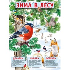 Плакат "Зима в лесу", изд.: Горчаков 460326294100371518