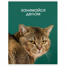 Тетрадь (студ., офис) А4 80л "Занимайся делом" КанцЭксмо Т4805123