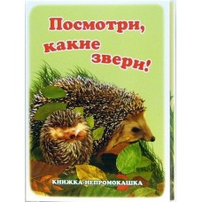 АНТУРАЖ Книжки-непромокашки Мишка косолапый 978-5-98088-142-9