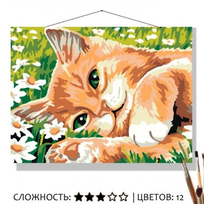 Картина по номерам 30*40 "Рыжик" КН3040076