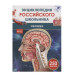 Человек. Энциклопедия российского школьника Росмэн Клюшник Л. В. 978-5-353-11012-5